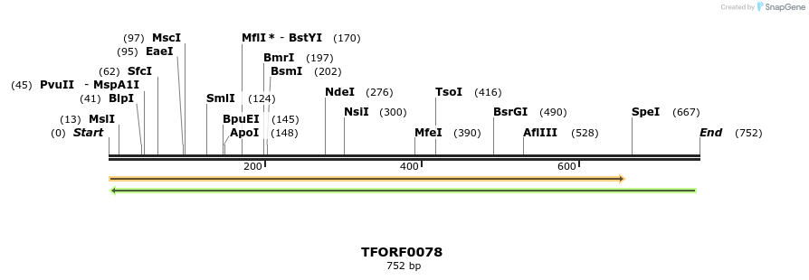 276658_map