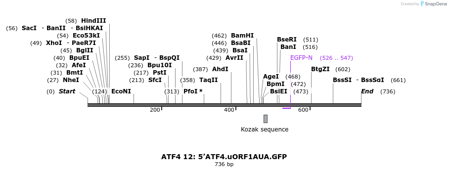 27666_map