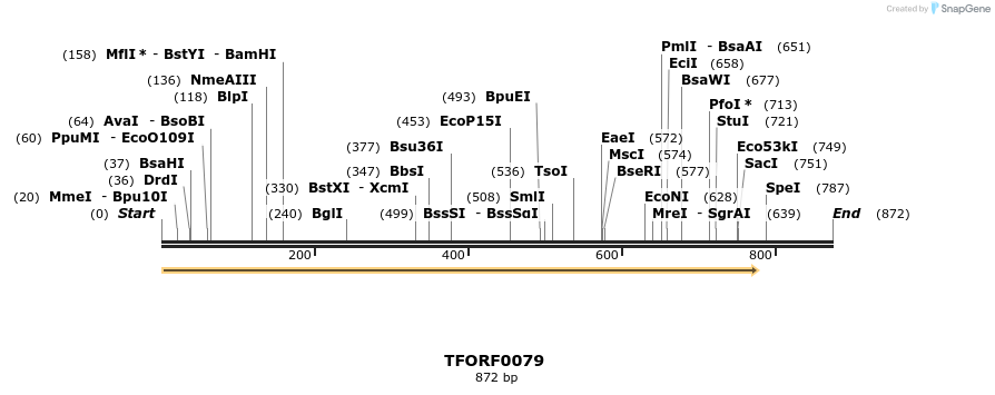 276661_map