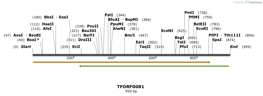 276664_map