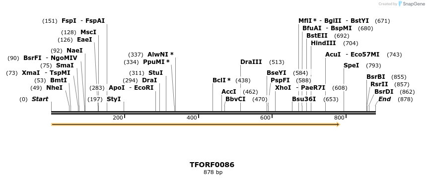 276667_map