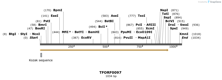 276673_map