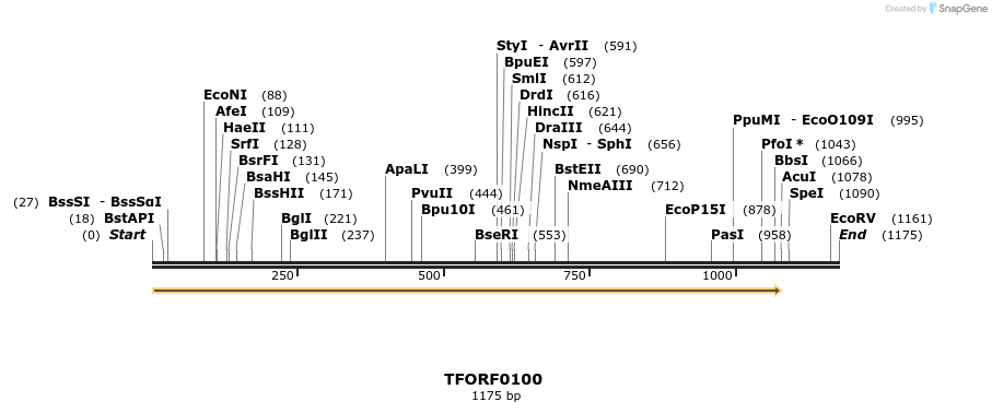 276679_map