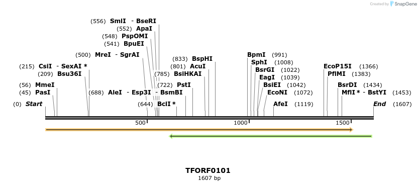 276682_map