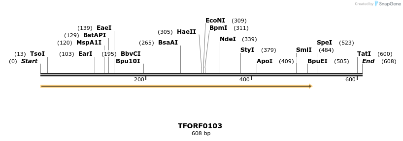 276685_map