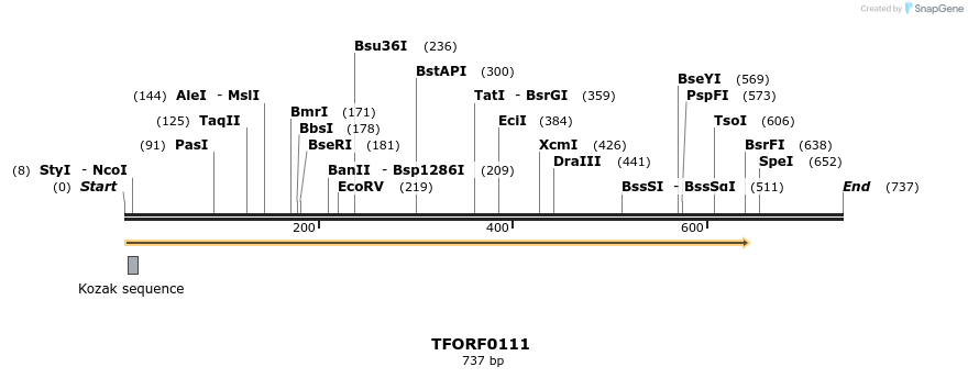 276691_map