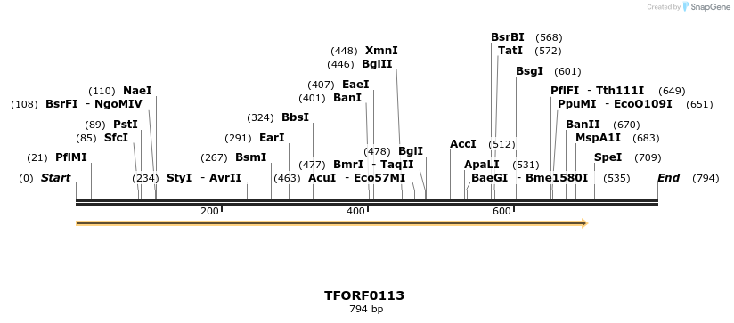 276697_map