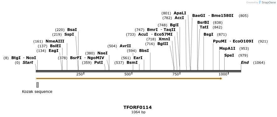 276700_map