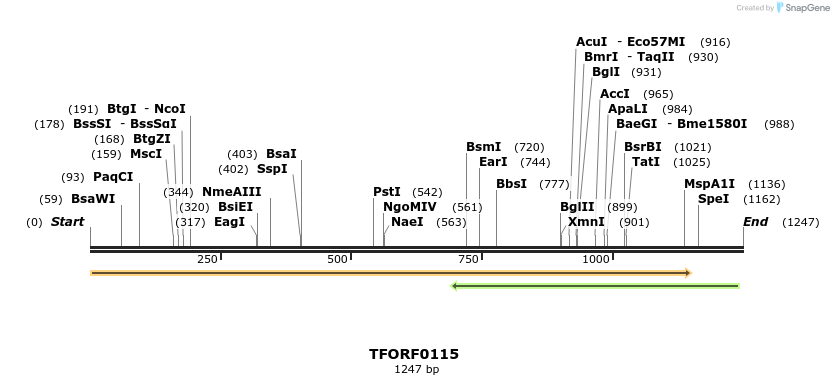 276703_map