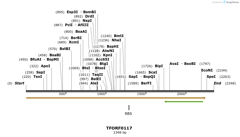 276709_map