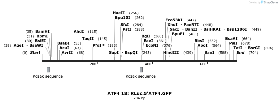 27671_map