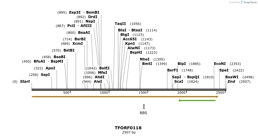 276712_map