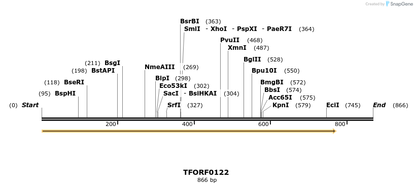 276718_map