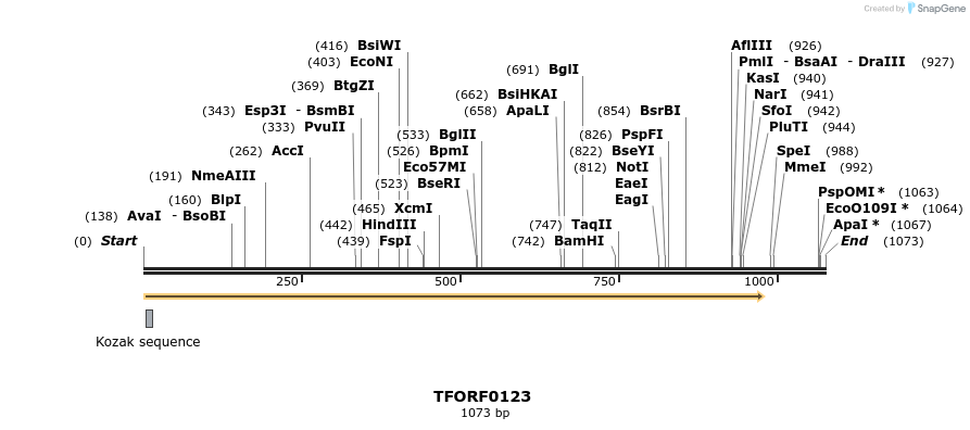 276721_map