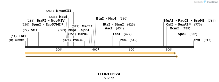 276724_map