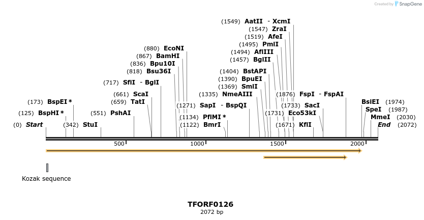 276727_map