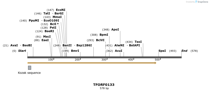 276733_map