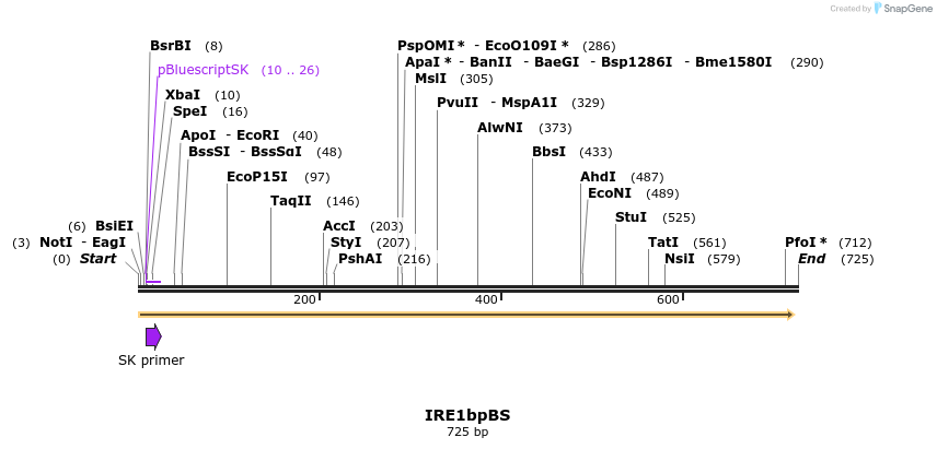 27674_map