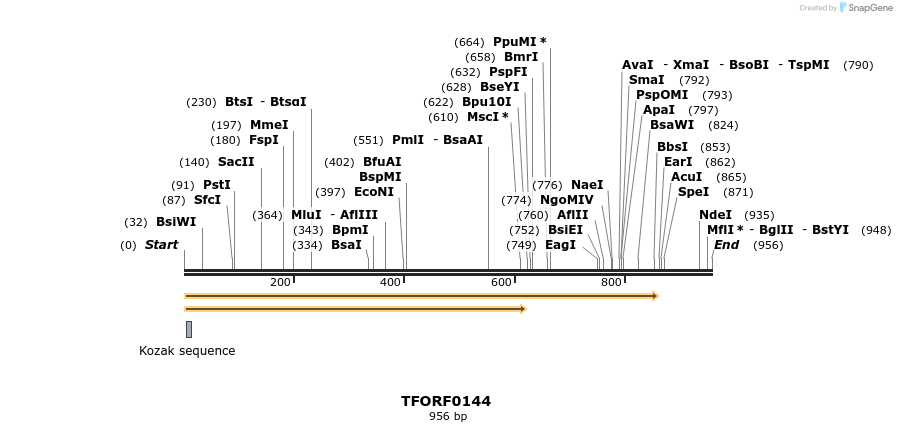 276745_map