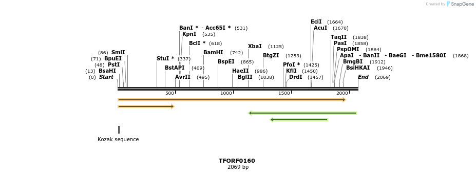 276748_map