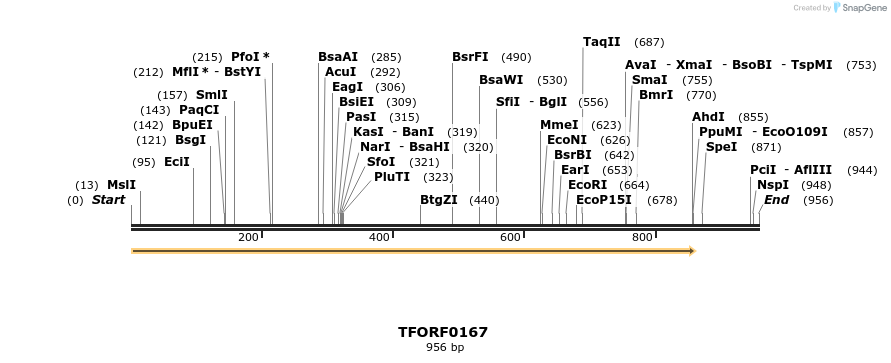 276751_map