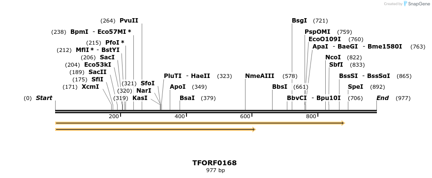 276754_map