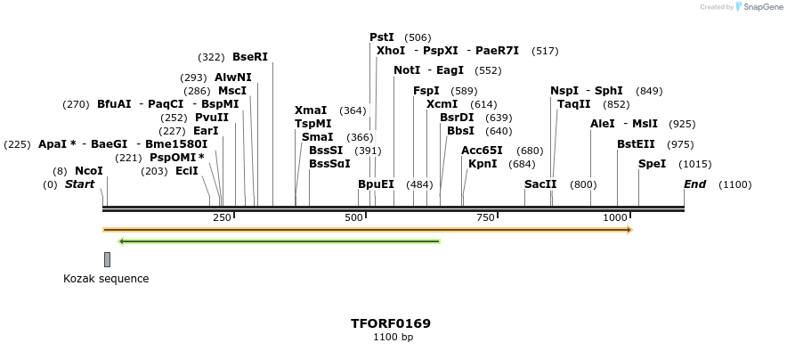 276757_map