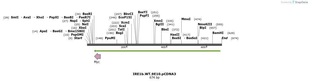 27676_map