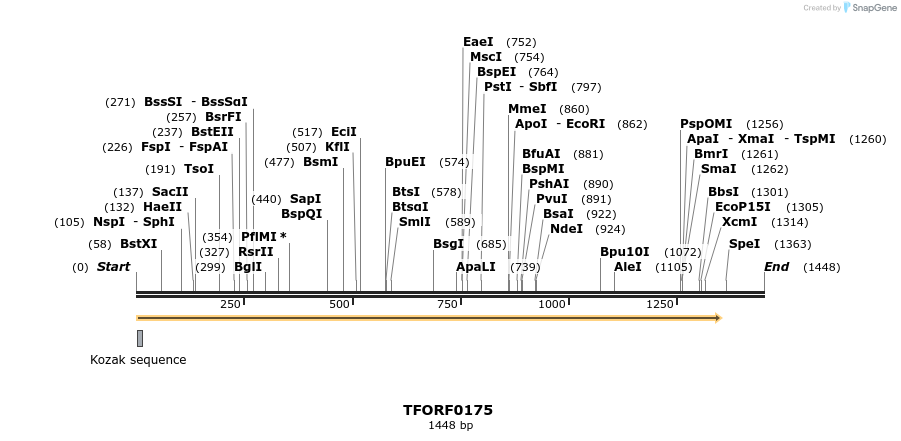 276763_map