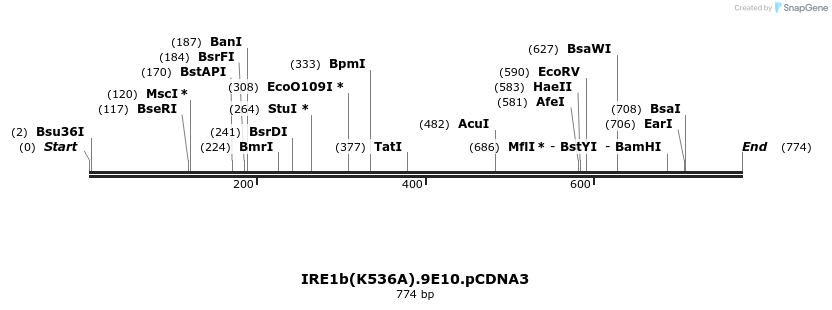 27677_map