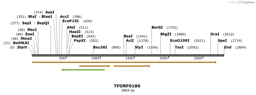 276772_map