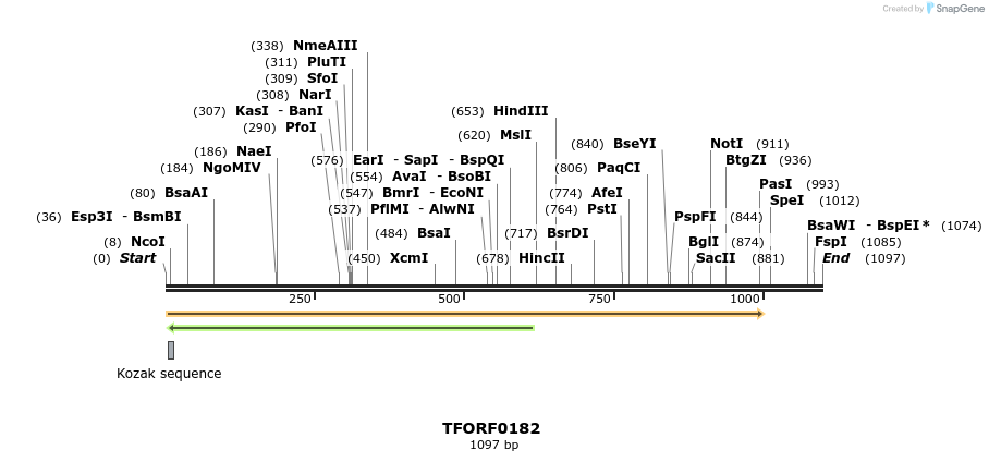 276775_map