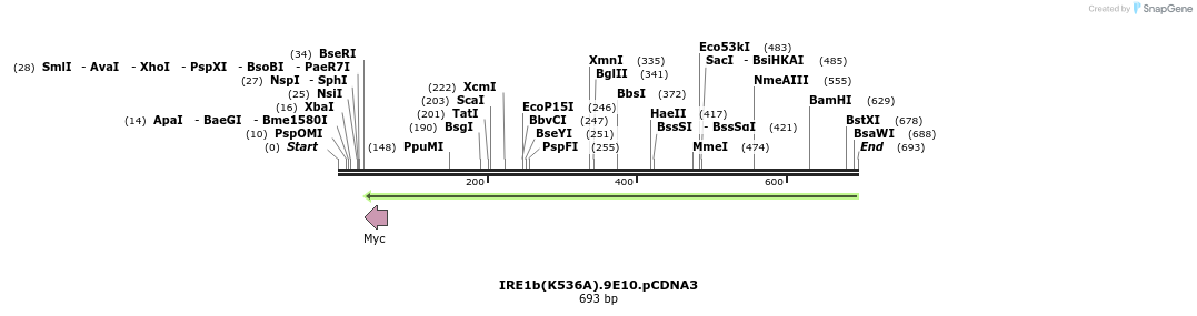 27678_map