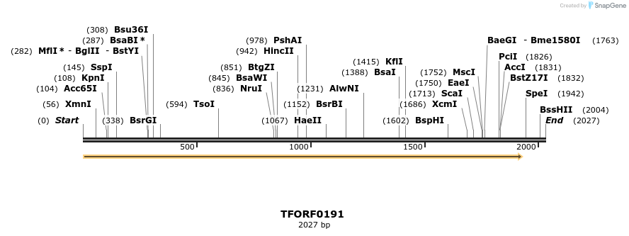 276781_map