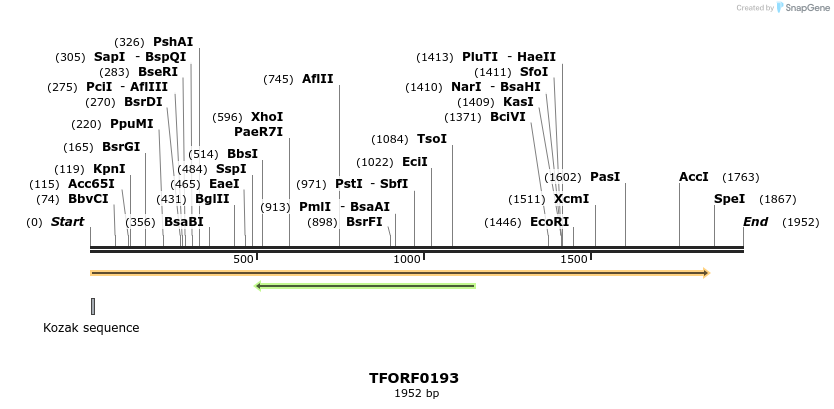 276787_map
