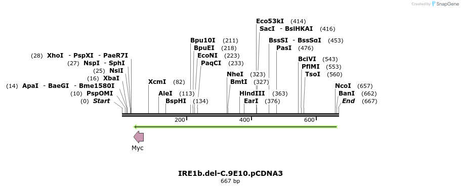 27679_map