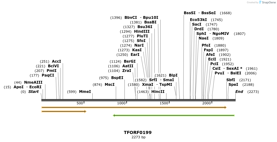 276790_map