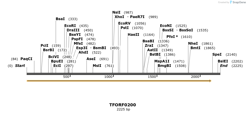276793_map