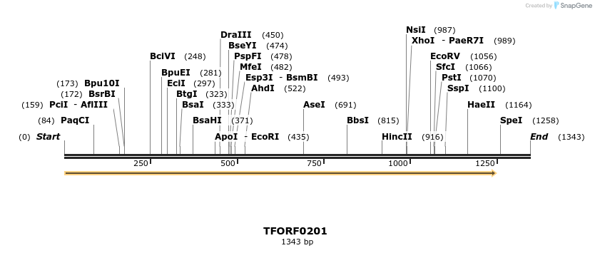 276796_map