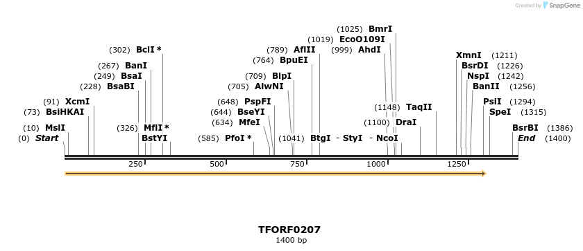 276802_map