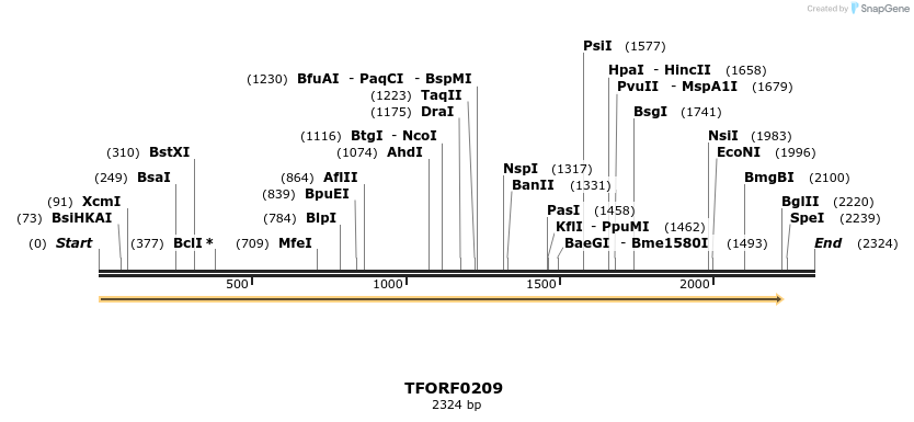276805_map