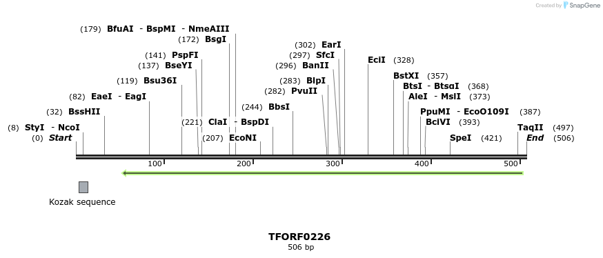 276808_map
