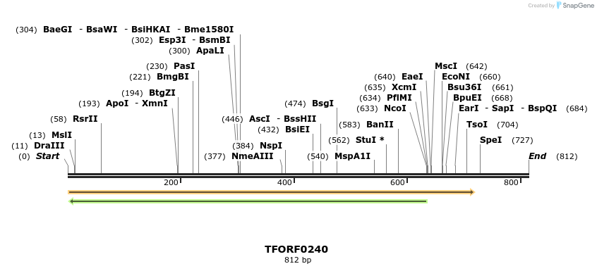 276811_map