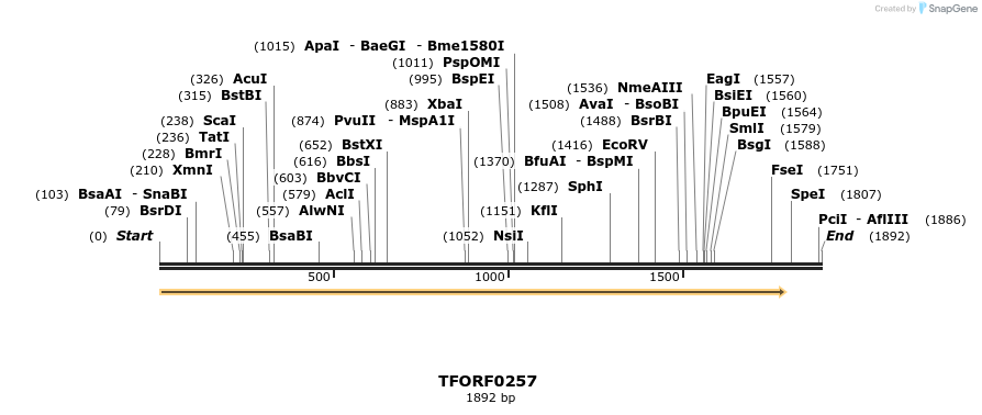 276817_map