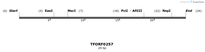 276818_map