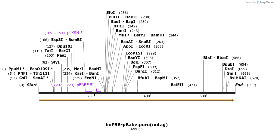 27682_map