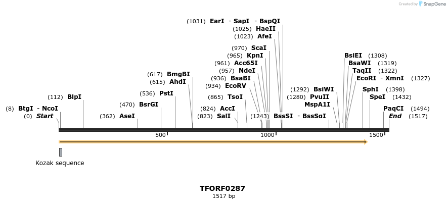 276823_map