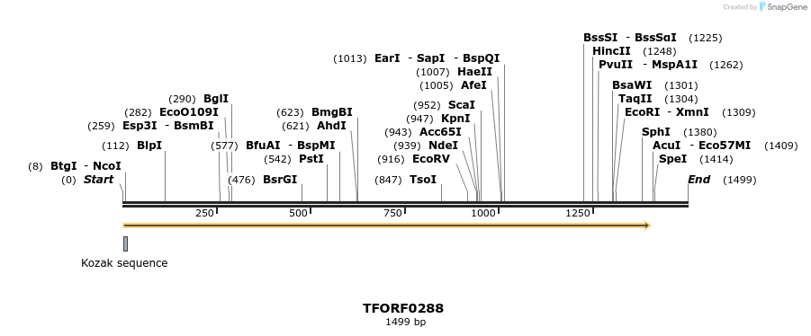 276826_map