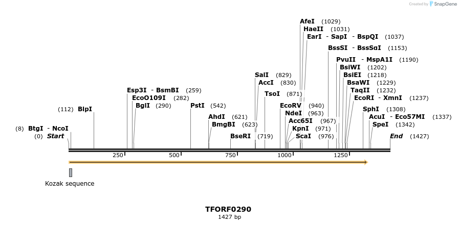 276829_map