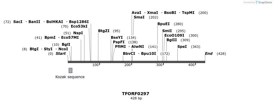 276832_map